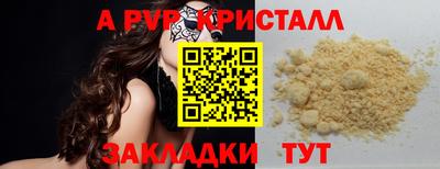 гидра Будённовск