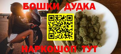 гидра Будённовск