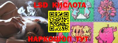 гидра Будённовск