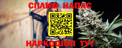 гидра Будённовск