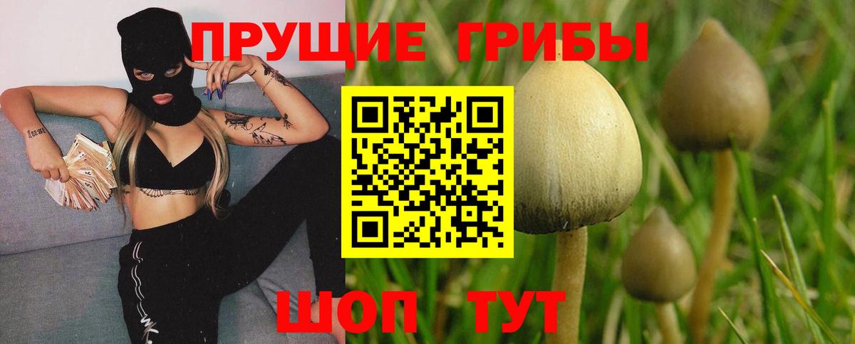 Псилоцибиновые грибы MAGIC MUSHROOMS Липецк